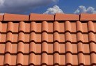 Devils Riverroof-conversions-4.jpg; ?>